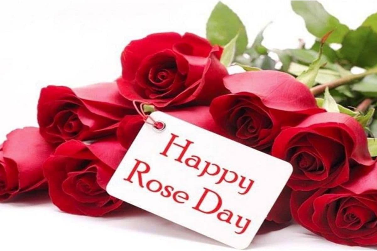 Happy Rose day wishes: रोज डे पर हर गुलाब बोलेगा इश्क की कहानी, ऐसे करें अपने प्यार का इजहार