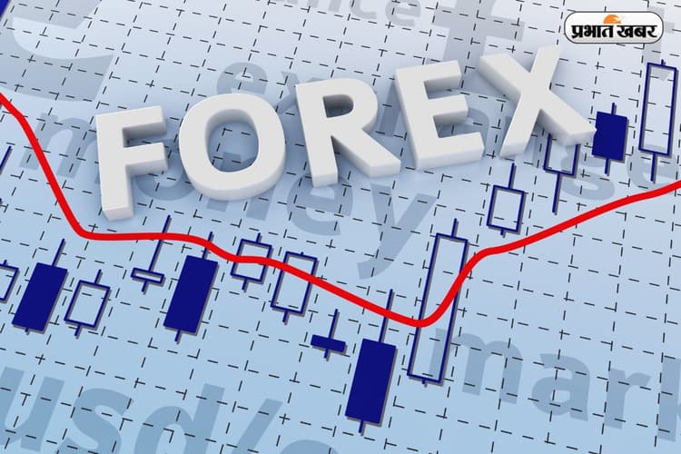 India Forex Reserves: भारत के विदेशी मुद्रा भंडार में बढ़ोतरी, पाकिस्तान को लगा झटका