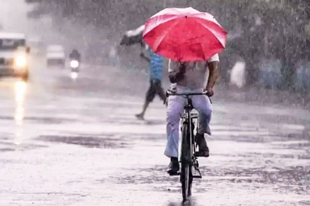 Rain Alert