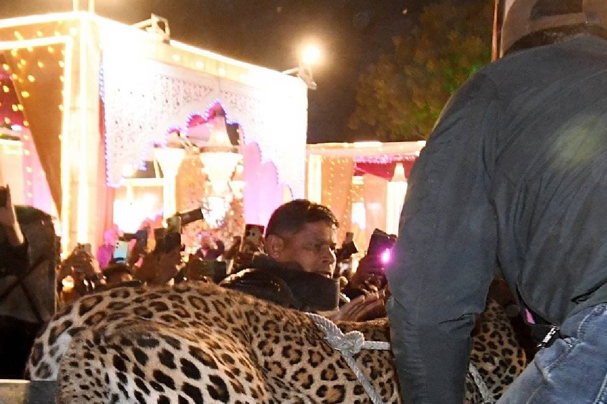 Viral Video : शादी समारोह में घुसा तेंदुआ, वरमाला छोड़ भागे दूल्हा-दुल्हन