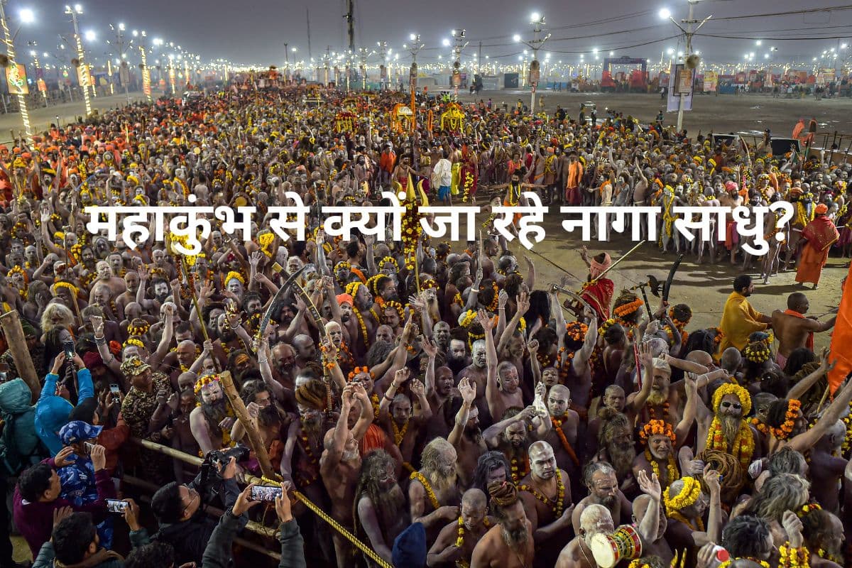 Naga Sadhu Video: महाकुंभ से क्यों जा रहे नागा साधु? कढ़ी-पकौड़ी के समय क्यों हो जाते हैं भावुक
