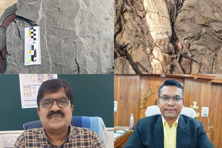 झारखंड के इस जिले में 14 करोड़ वर्ष पुराना पादप और 28 करोड़ वर्ष पुराने पत्ते का मिला जीवाश्म, राष्ट्रीय धरोहर होंगे संरक्षित