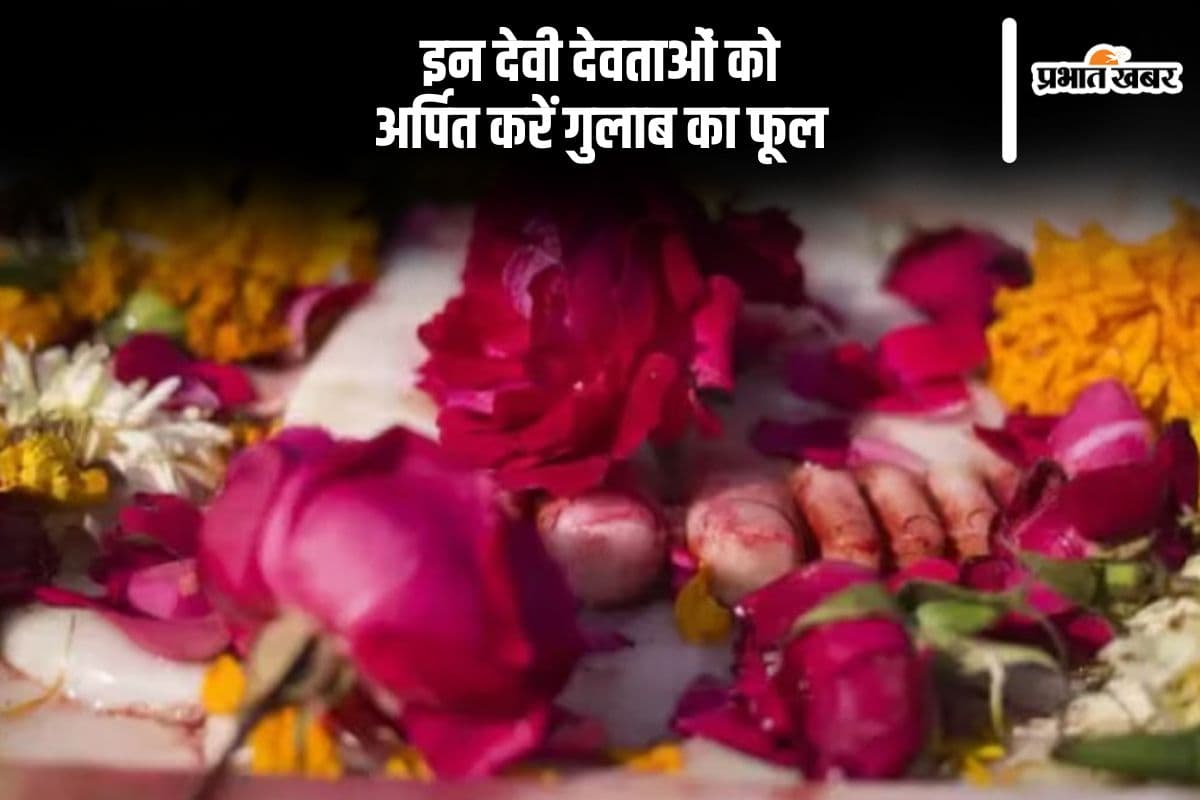 Rose Day 2025 which deities should offer rose flower