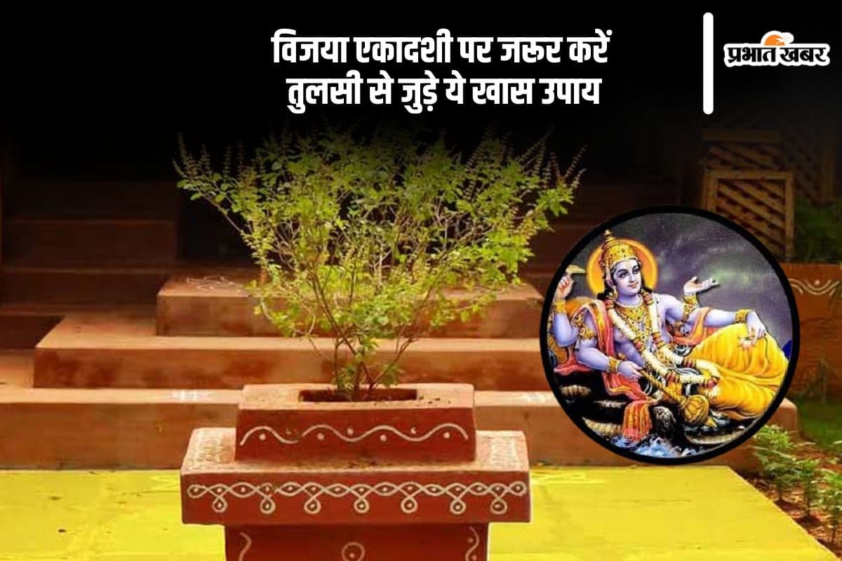 विजया एकादशी पर करें तुलसी से जुड़े ये उपाय, जीवन में आएंगी खुशियां
