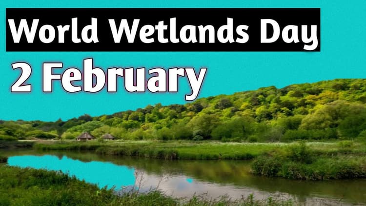 World Wetlands Day 2025 : 2 फरवरी मनाया जाता है आविश्व आर्द्रभूमि दिवस, जानें कुछ महत्वपूर्ण बातें