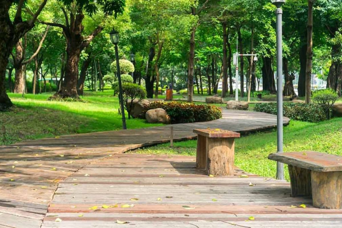 Bihar News: बिहार के हर नगर निकाय में बनेगा एक नया पार्क, वेंडिंग जोन चिह्नित कर मांगी गयी जानकारी