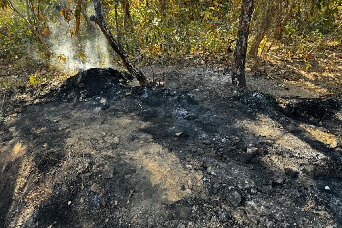 हजारीबाग में अवैध कोयला लदे 3 ट्रैक्टर को जलाया, चालकों को पेड़ से बांधकर पीटा