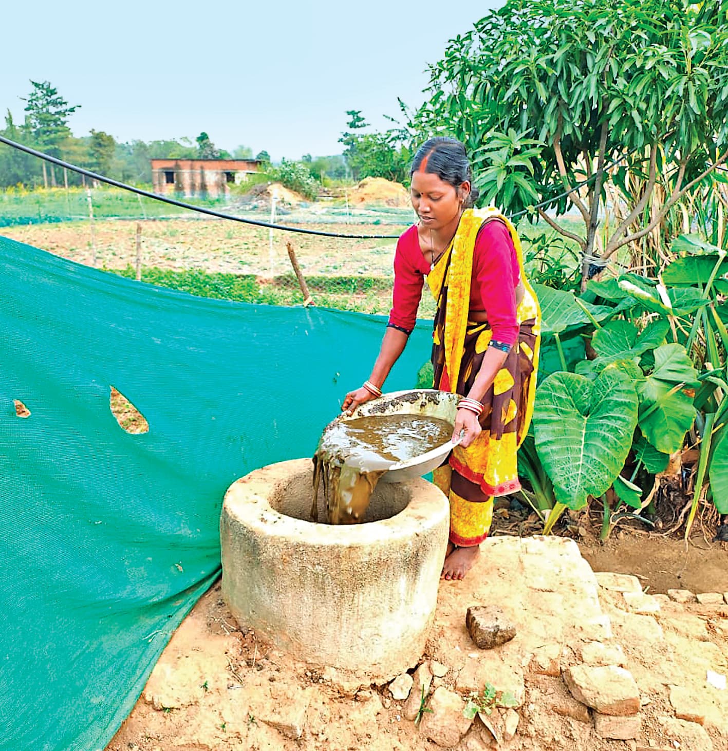 Environment Related News : गोला का संग्रामपुर राज्य का पहला गांव, जिसे कार्बन क्रेडिट के चार लाख मिले