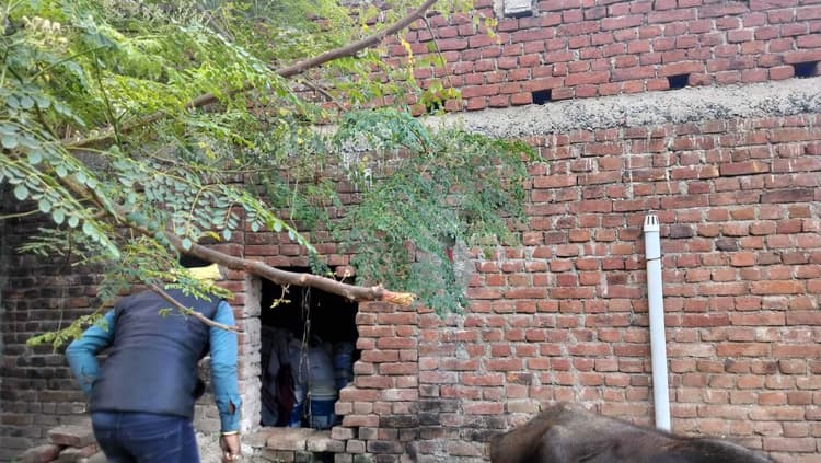 Gaya News : महकार गांव में दो घरों में दीवार तोड़ कर चोरी