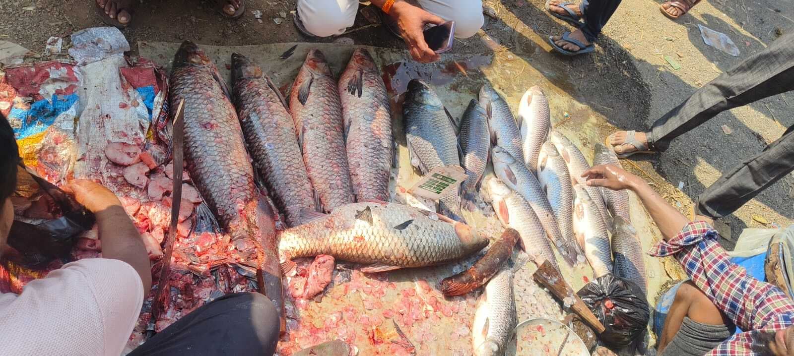 बंगाली समुदाय में सिझानो पर्व का उत्साह, मछली की डिमांड बढ़ी