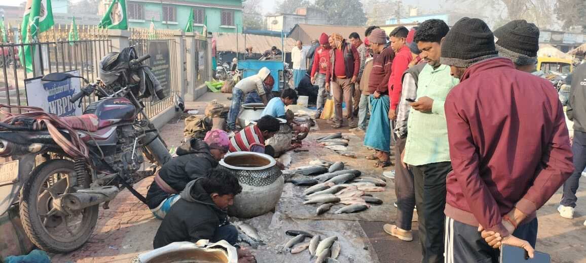 सिझानो: लिट्टीपाड़ा में भी मछली की जमकर हुई खरीदारी