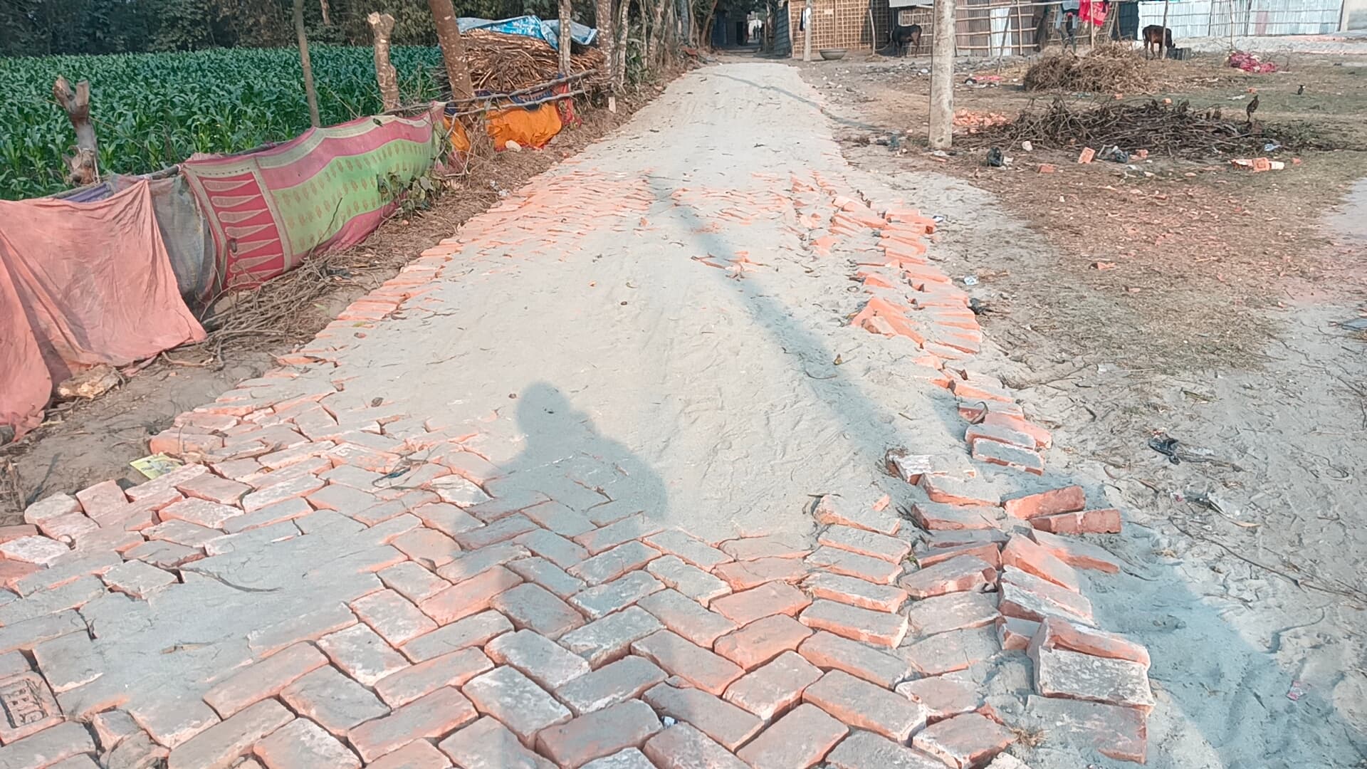 सड़क निर्माण में उड़ाई जा रही है मापदंड की धज्जियां