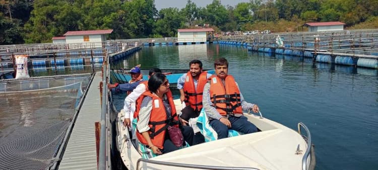 कोल इंडिया के संयुक्त सचिव ने केज कल्चर का किया निरीक्षण
