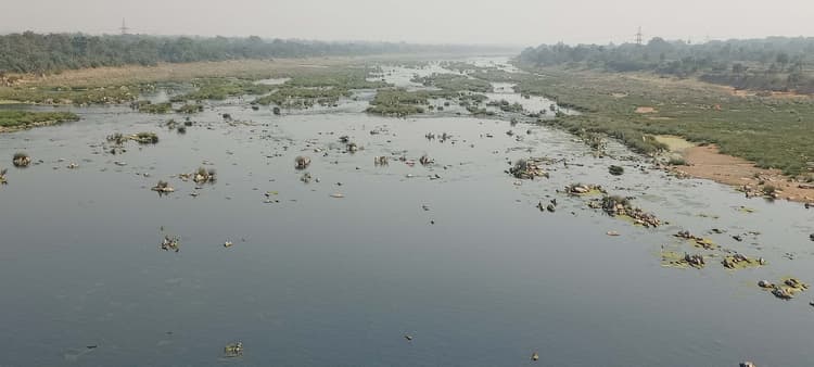 East Singhbhum News : फरवरी में ही सिसक रही सुवर्णरेखा, गर्मी में ढहेगा सितम