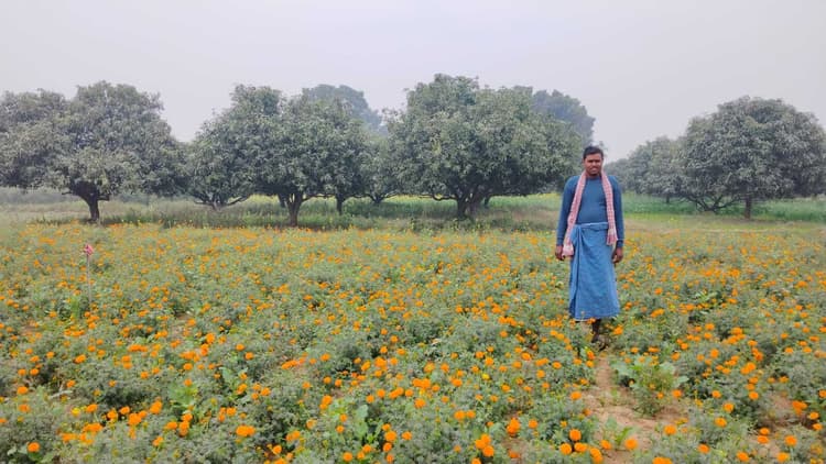 पारंपरिक खेती को छोड़ शुरू की गेंदा फूल की खेती, कमा रहे अच्छा मुनाफा