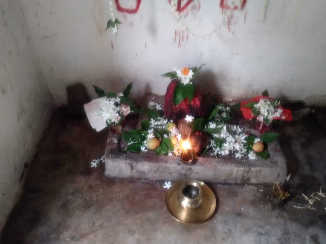 दूतकेवरा गांव में 15 को धूमधाम से मनाया जायेगा बाहापर्व