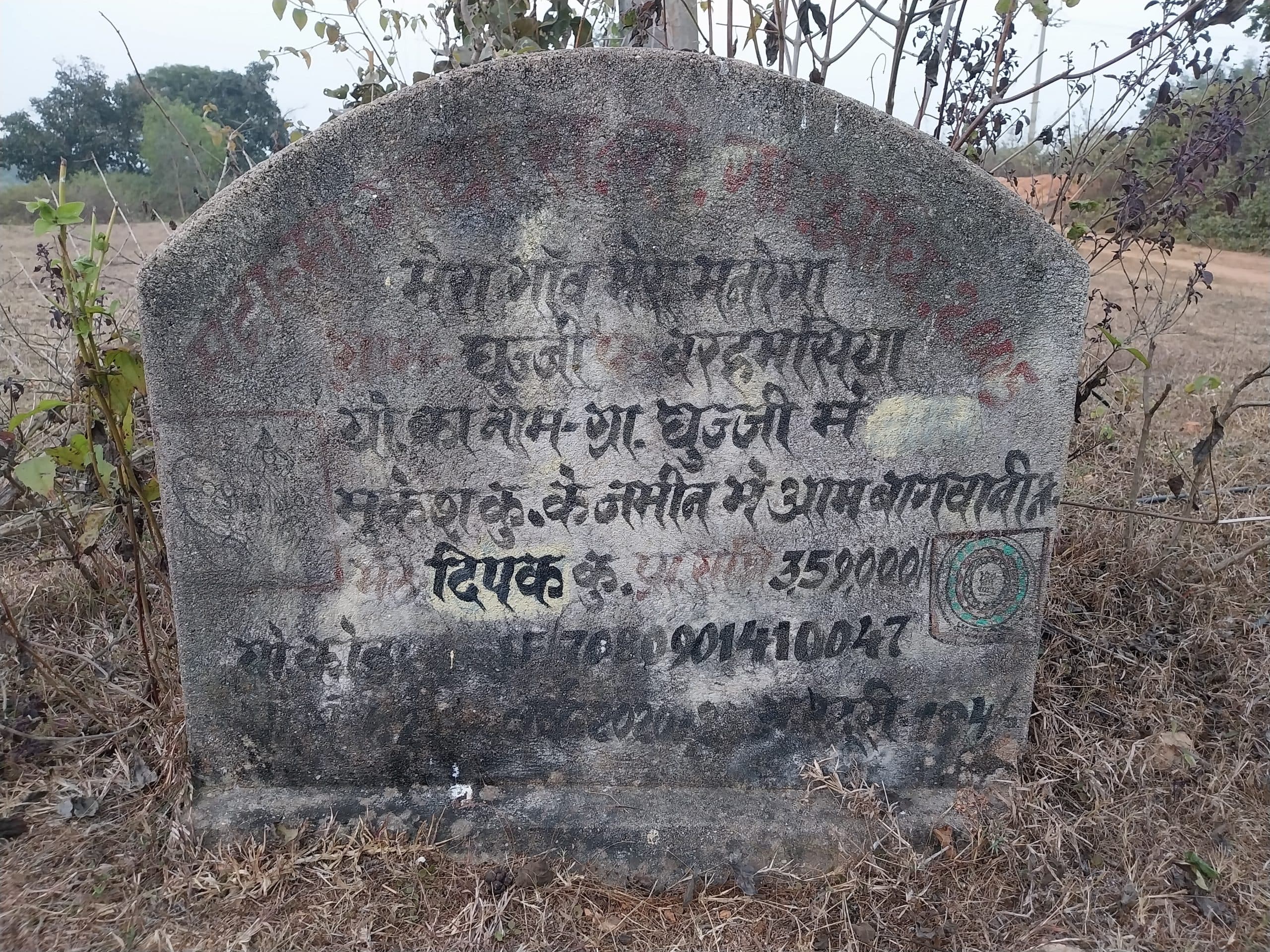 Giridih News :बरहमसिया में 83 हजार खर्च के बाद नहीं लगा आम का एक भी पौधा