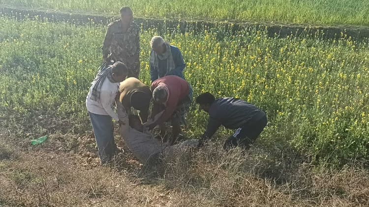 सड़क दुर्घटना में वैक्सीन कुरियर जख्मी, भागलपुर रेफर