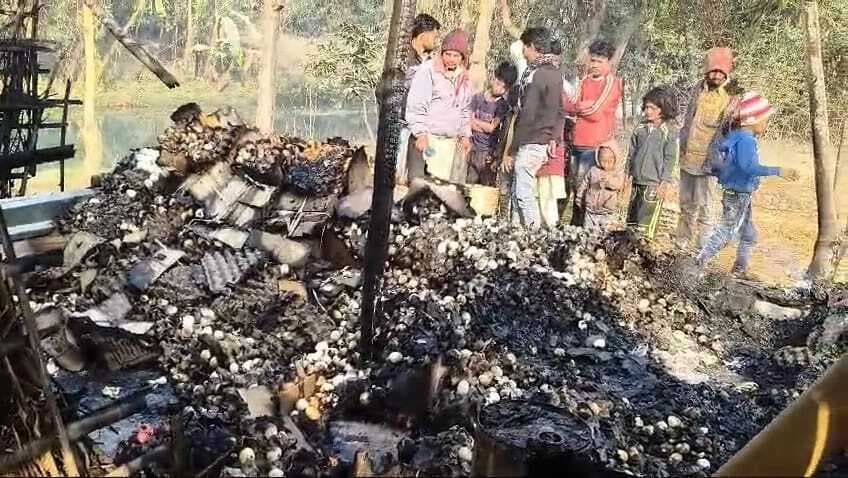 अंडे की दुकान में लगी आग, दो लाख का नुकसान