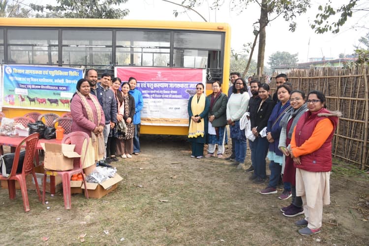 पशु चिकित्सा शिविर में 305 पशुओं का किया उपचार