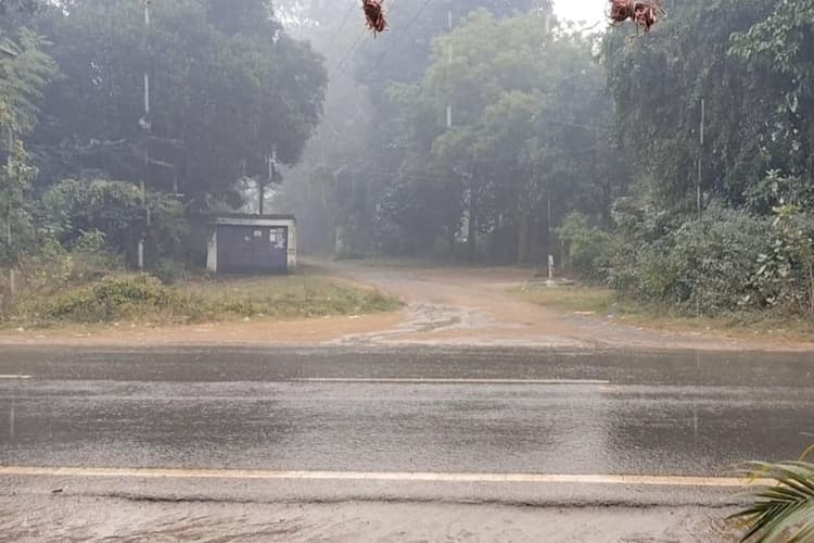 Ranchi News : आज गरज के साथ कई इलाकों में हो सकती है बारिश