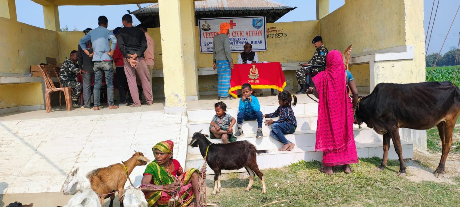 एसएसबी ने लगाया पशु चिकित्सा शिविर