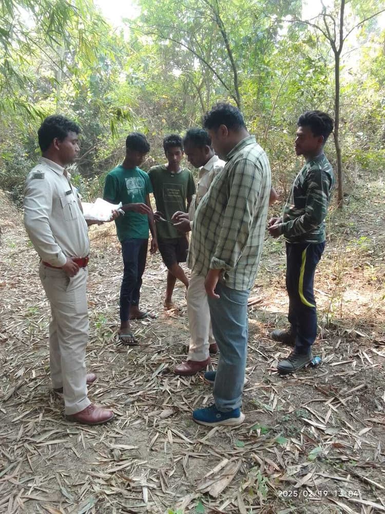 East Singhbhum news : चाकुलिया के खड़गबेड़ा बाघ दिखने की सूचना से दहशत, वन विभाग को जांच में कुछ नहीं मिला