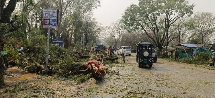 आंधी और तेज बारिश के साथ गिरे ओले, सब्जी की फसलें नष्ट