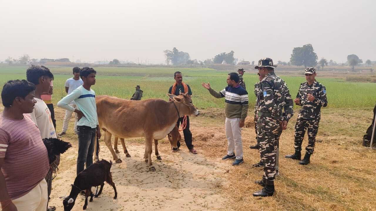 एसएसबी के पशु चिकित्सा शिविर में पशुपालकों को कृत्रिम गर्भधारण कराने की दी सलाह