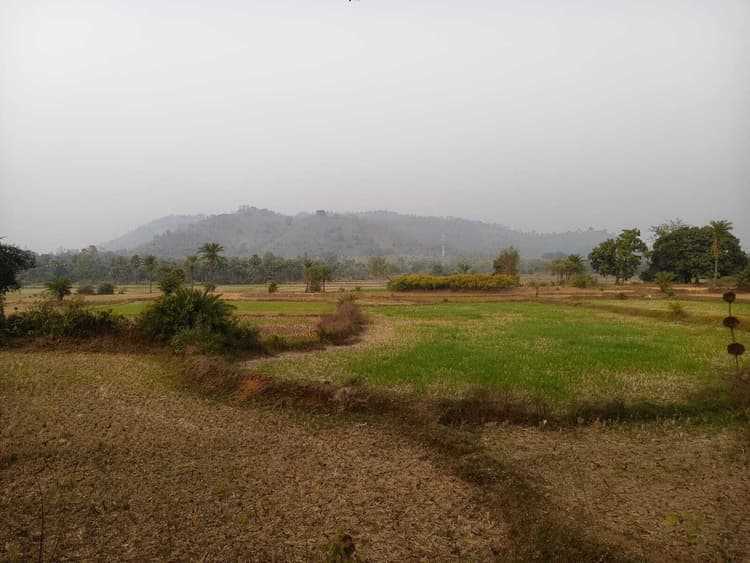 साहिबबगंज-गोविंदपुर हाइवे पर स्थापित होगा औद्योगिक गलियारा