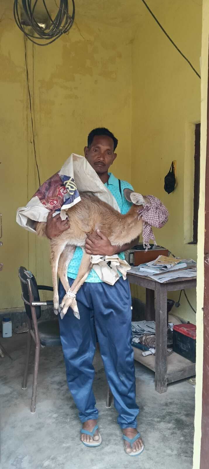 कुएं में गिरे कोटरा को वनकर्मियों ने रेस्क्यू कर बचाया