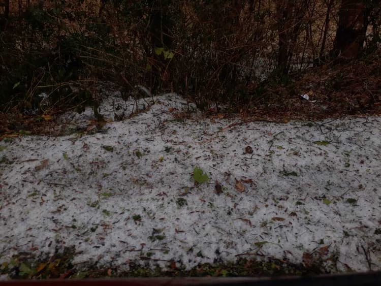 Chaibasa News : एक घंटे की बारिश के साथ जमकर ओले पड़े