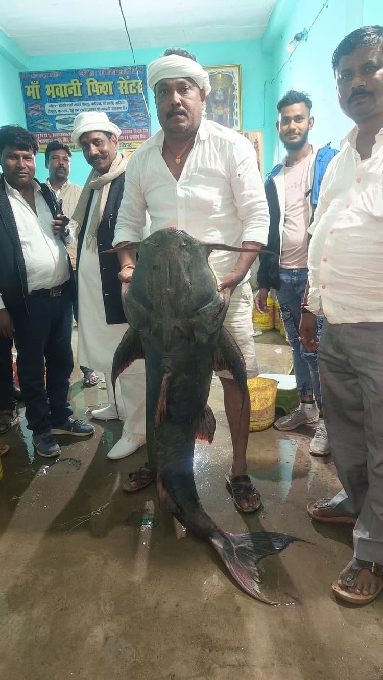 मछुवारे ने गंगा नदी से 40 किलो का मछली पकड़ा