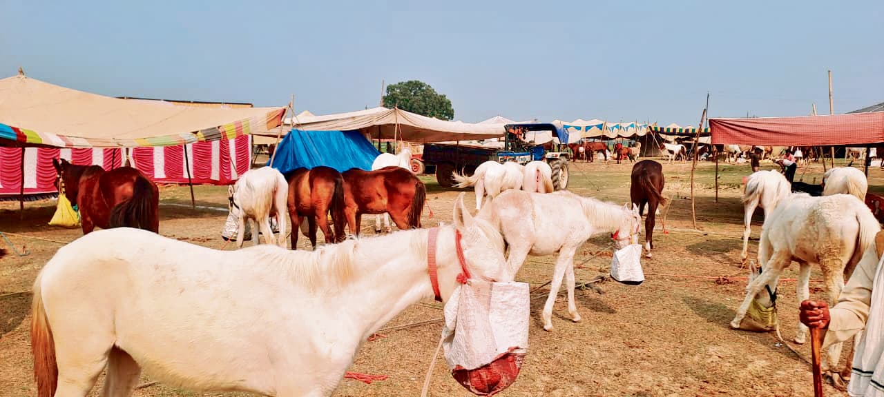 Buxar News: स्कूल की जमीन से मेला हटाने का प्रशासन ने शुरू किया काम