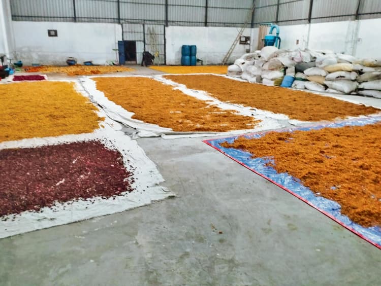 Gaya News : फूलों को रिसाइक्लिंग कर तैयार सामग्री पर मन की बात करेंगे पीएम मोदी