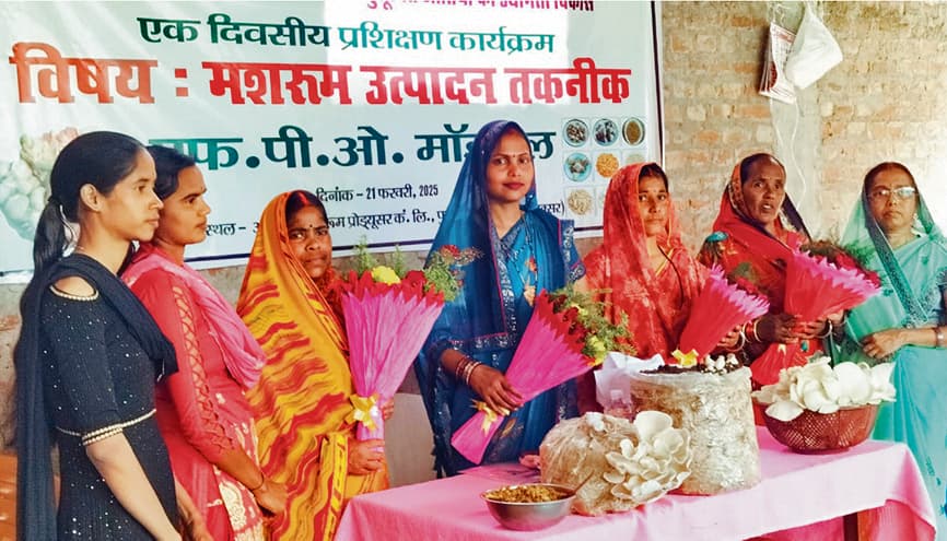 Buxar News: महिला किसान मशरूम का उत्पादन कर बनीं मिसाल