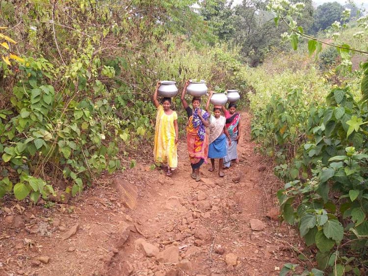 अमरभीठा गांव में नहीं है सड़क, लोग पगडंडी का लेते हैं सहारा