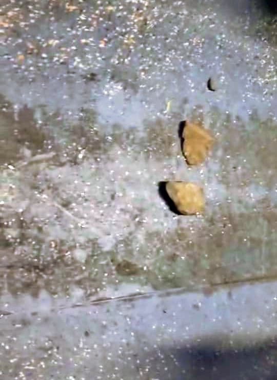 Gaya News : सीट पर बैठने को लेकर हुए विवाद व मारपीट में दो यात्री घायल