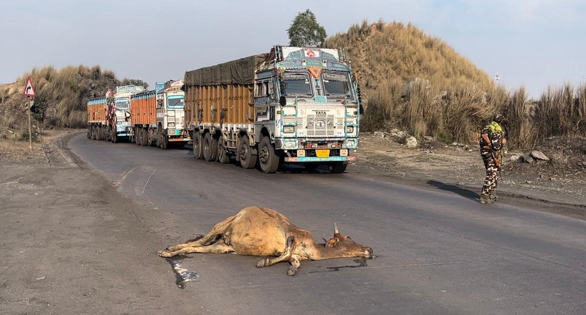 हाइवा की टक्कर से गाय की मौत, सड़क जाम