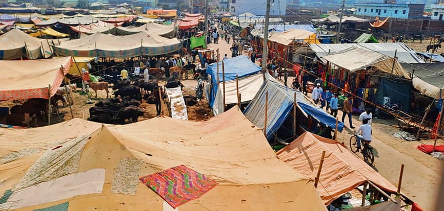 Buxar News: फाल्गुनी पशु मेले में नहीं होगी राजस्व की वसूली