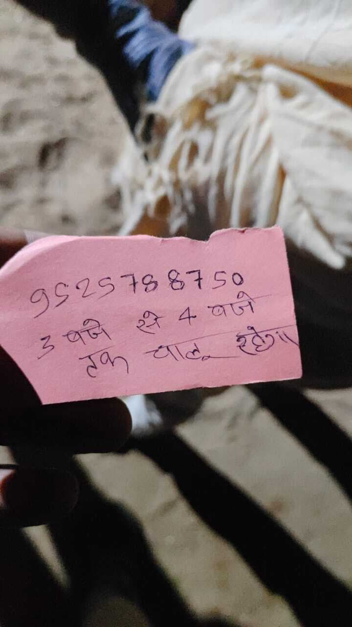 अपराधियों ने बालू घाट पर की हवाई फायरिंग