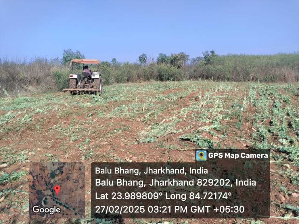 पुलिस ने पोस्ते की खेती को किया नष्ट