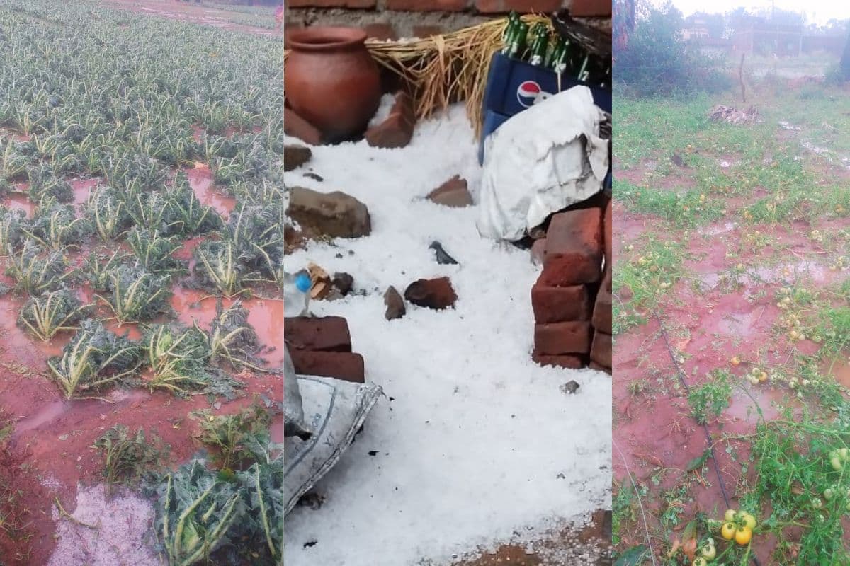 jharkhand weather baliapur dhanbad jharkhand weather baliapur dhanbad