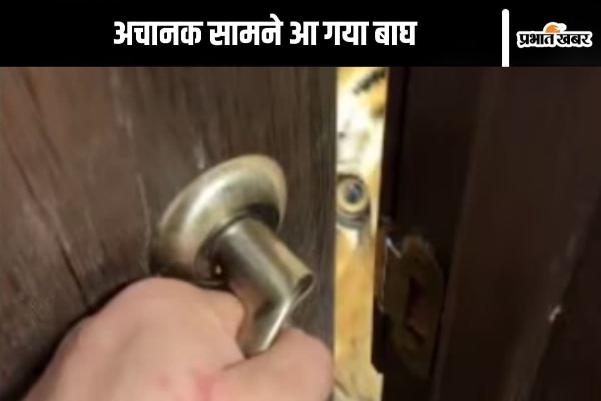 Viral Video : दरवाजा खोलते ही सामने आ गया बाघ, महिला ने डरकर उठाया ये कदम
