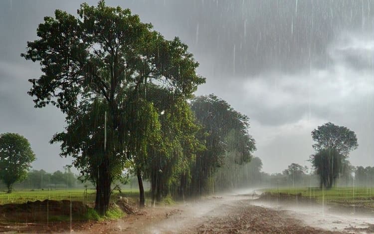 Bihar Rain Alert: बिहार के 15 जिलों में ऑरेंज और 23 जिलों में येलो अलर्ट, पश्चिमी विक्षोभ बरपायेगा कहर, IMD ने जारी किया अलर्ट