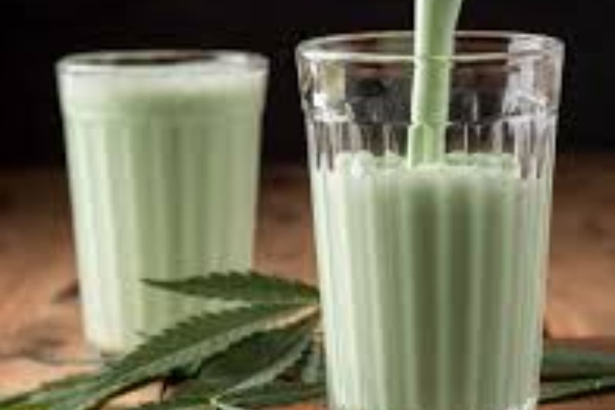 Holi 2025: भांग या फिर शराब के साथ कभी न ट्राई करें ये चीजें, हो सकता है नुकसान