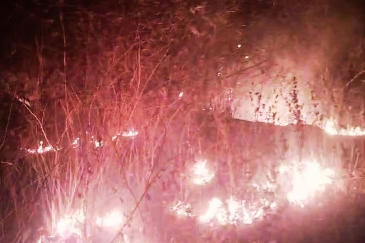 होली से पहले झुमरा पहाड़ के जंगल में लगी आग, ग्रामीणों की बढ़ी चिंता