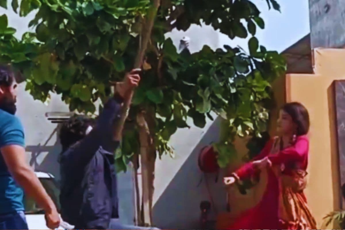 Video: गुंडों की धुनाई करती दिखीं कुंभ की मोनालिसा! वायरल वीडियो ने मचाया तहलका