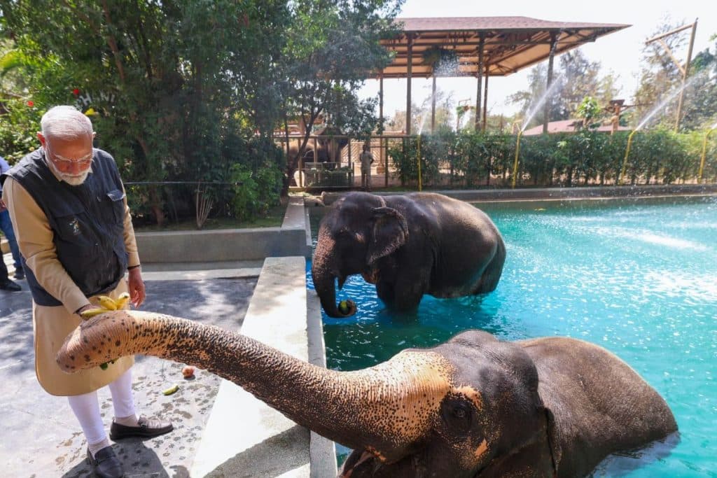 Narendra-Modi-inaugurated-and-visited-the-wildlife-rescue