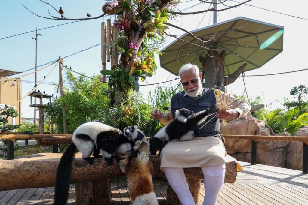 PM Narendra Modi inaugurated and visited the wildlife rescue